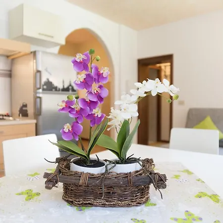 Apartamento Biennale Garibaldi *